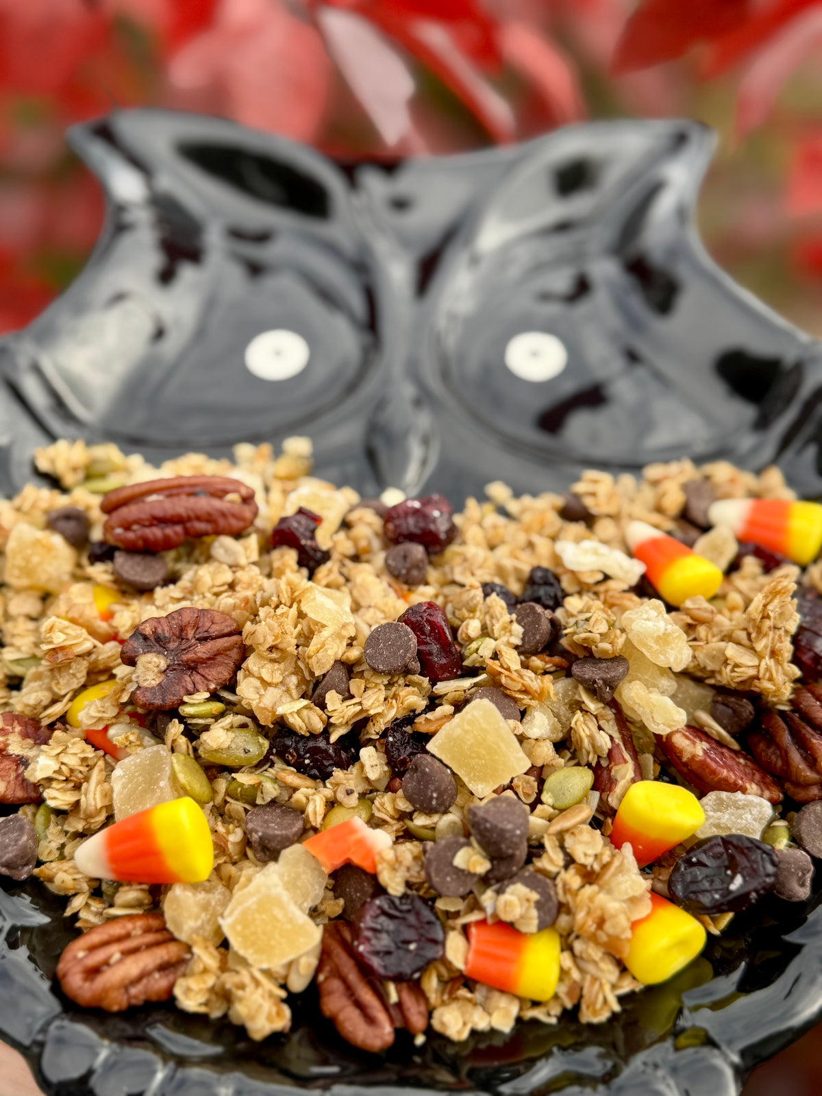 Trick-or-Treat Granola - Limited Edition