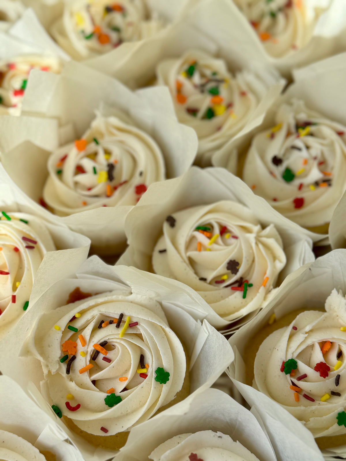 Vanilla Cupcakes