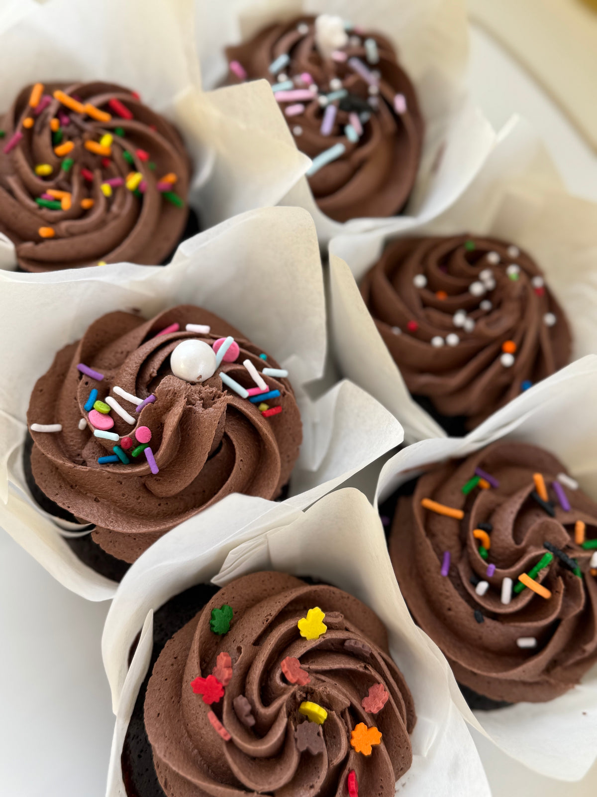 Chocolate Cupcakes